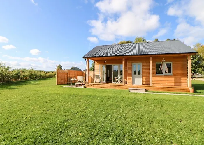 Rising Sun * ヨーク