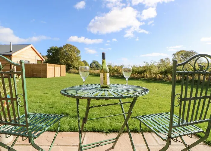 Rising Sun * ヨーク